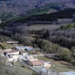 Les Arbods