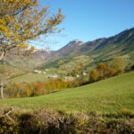 Les Tonils et les Grangers